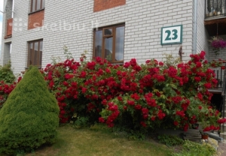 Druskininkai 
